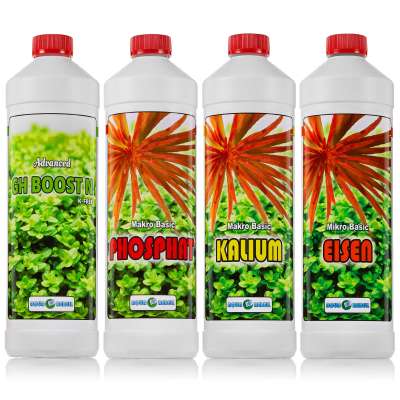 dünger portugiesischer lorbeer Purgrün Portugiesischer-Kirschlorbeer-Dünger 1 Liter