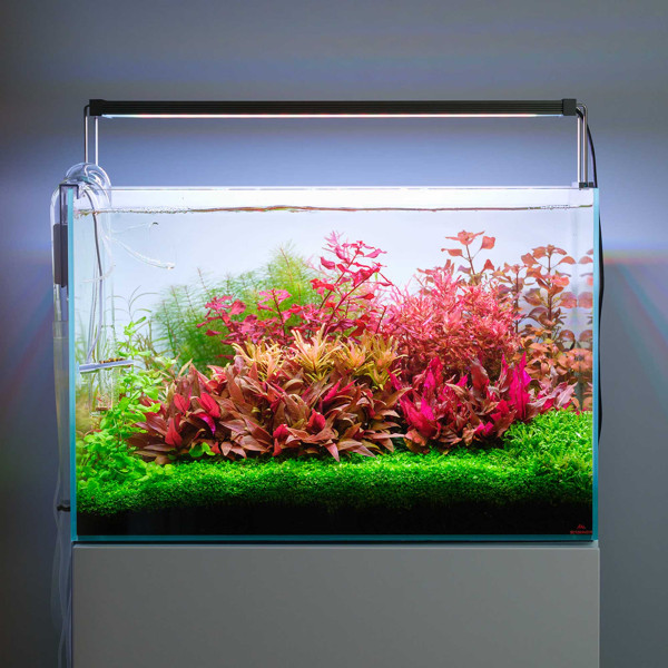 Twinstar S-Line V | Aquarium RGB LED