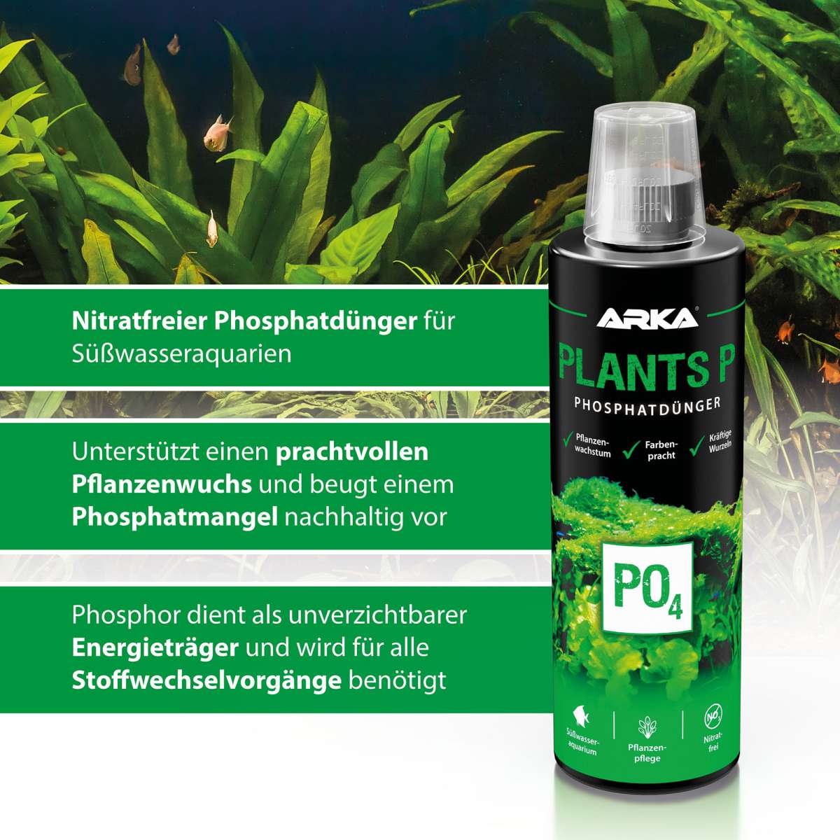 Phosphor Gestein 1,5KG  Natrlicher Phosphordnger Fr Starke Wurzeln &  ppige Blten