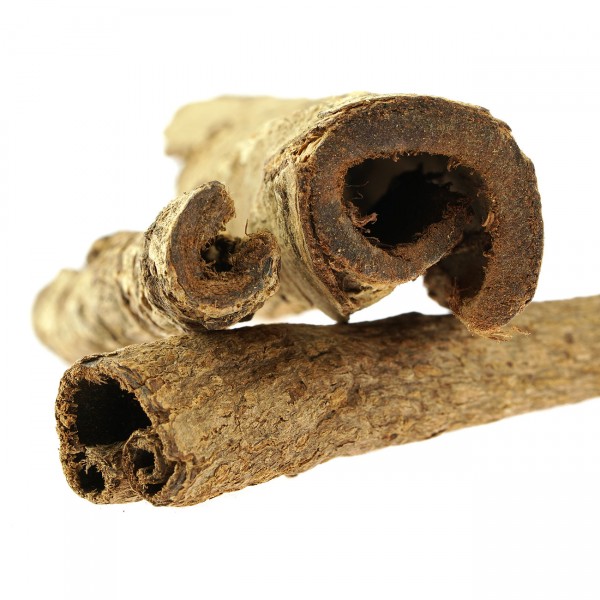 Seemandelbaum Röhrchen