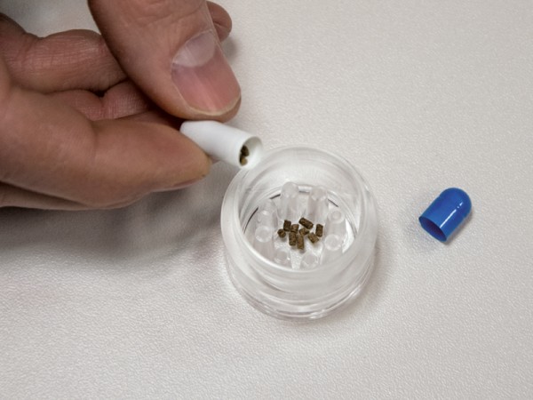 Hobby Planaria X Planarienfalle