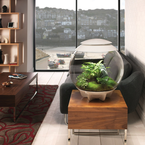 Oase biOrb AIR 60 | Automatisches Pflanzenterrarium