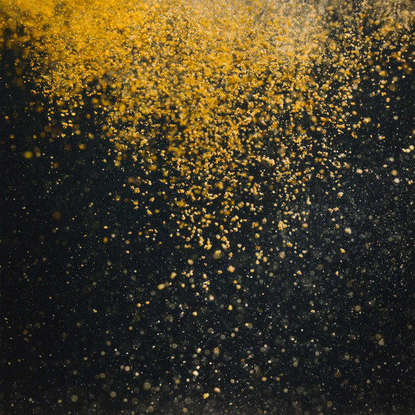 StreamBiz - Universal Granulat