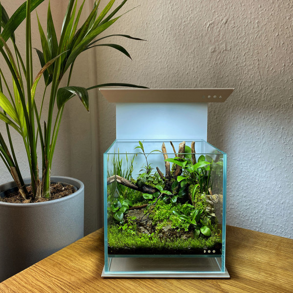 dooa neo glass air 20x20cm