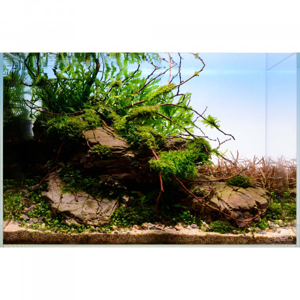 ADA Lightscreen beleuchtete Rückwand für das Aquarium