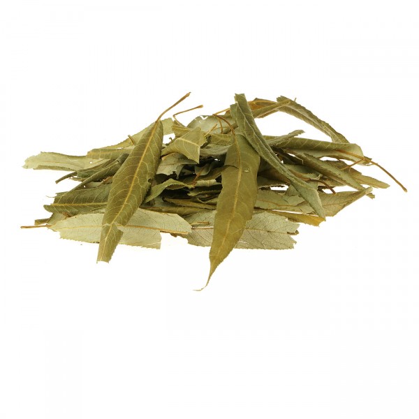 Weidenblätter Aquarium