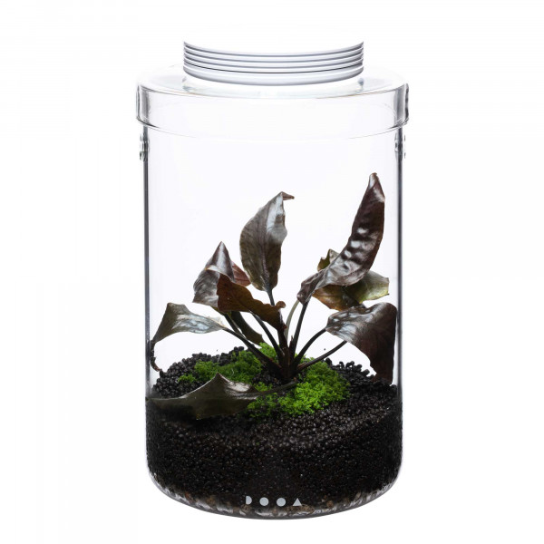 DOOA Glass Pot MARU 130 | Magnet Light G | Soil & Base | Set