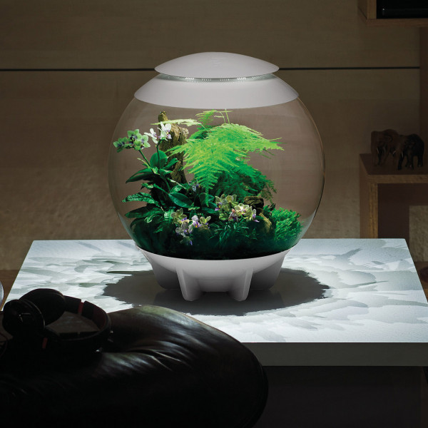 Oase biOrb AIR 60 | Automatisches Pflanzenterrarium