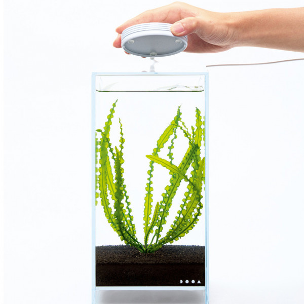 DOOA Magnet Light G LED Beleuchtung für Wabi-Kusa und Nano Aquarien