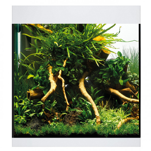 Oase StyleLine 85 Aquarium Komplettset