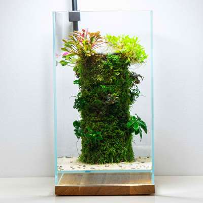 DOOA Neo Glass AIR online kaufen