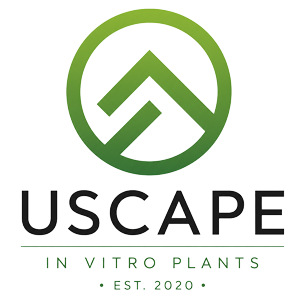 USCAPE-Plant