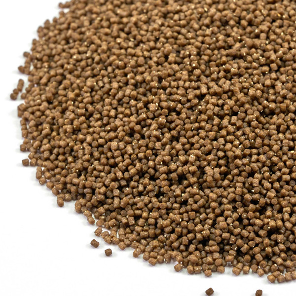 Aquarium Münster | Dr. Bassleer BIOFISH FOODBOX FISH