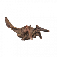 Flusswurzel 3D Nr. 327 (29x17x17cm) Flusswurzel 3D Nr. 327 (29x17x17cm)