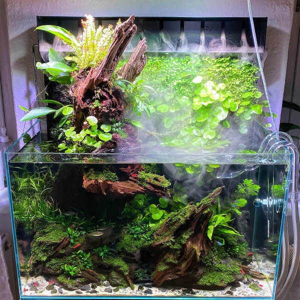 DOOA Mizukusa Mist Wall Paludarium