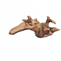 Flusswurzel 3D Nr. 907 (24x13x11cm) Flusswurzel 3D Nr. 907 (24x13x11cm)