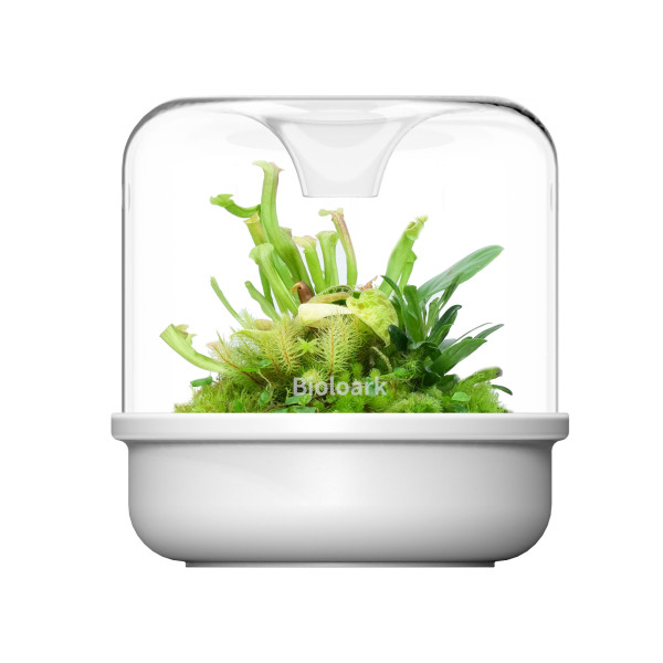 Bioloark LUJI Cup MY 150 K weiß